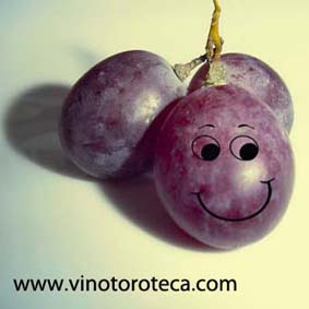 "Humor. Sonrisa. Vino. Uvas. Enologia. Enoturismo"