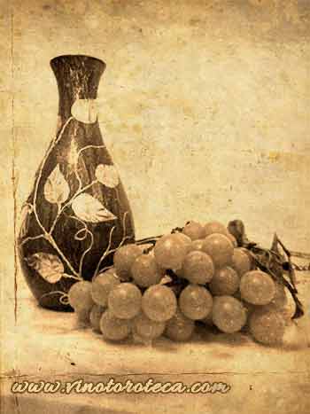 "Exposicion vinicola nacional 1877. Vino. Toro. Turismo"