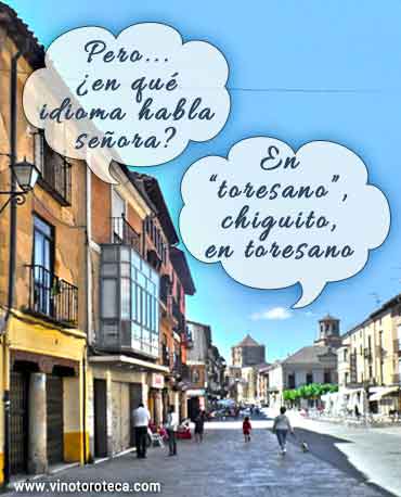 relato-toresano-humor-toro-zamora-turismo