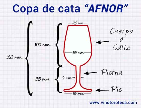 Caracteristicas de una copa de vino