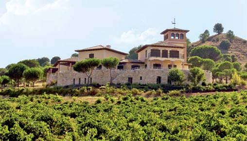 "Viñedos Bodega Estancia Piedra Denominación de Origen Toro"